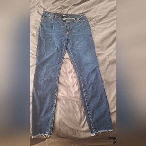 Hudson Jeans Dark Blue Women's Skinny Jeans